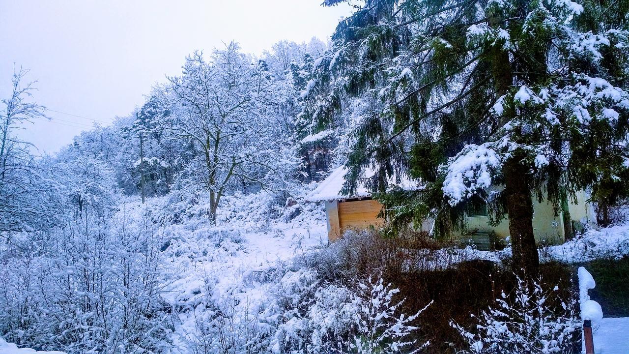 Giusvalla Forest Village Dego Εξωτερικό φωτογραφία